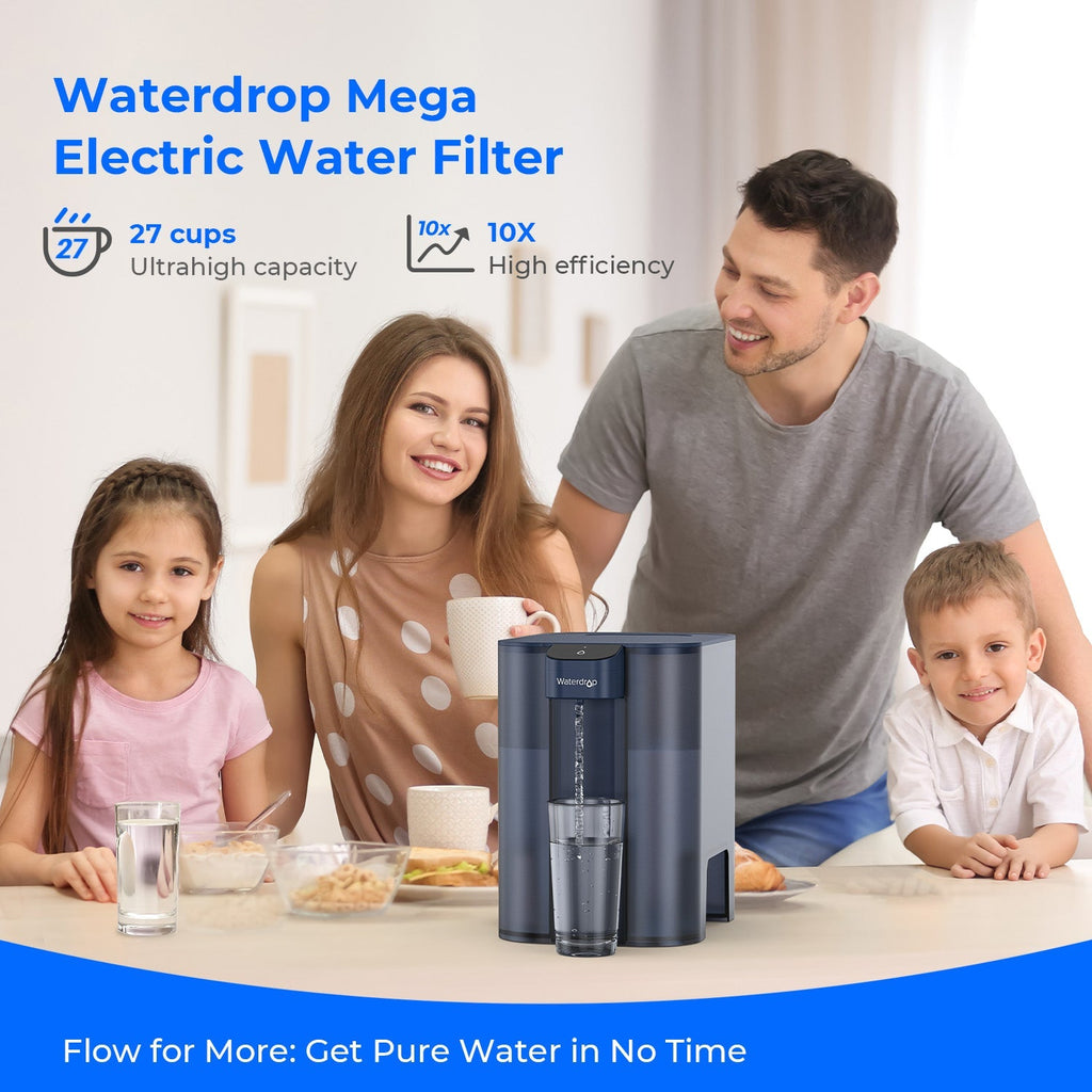 Elektrische waterfilterkan, instantwaterdispenser ED04, 200 gallon