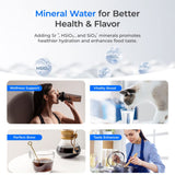 Système d'eau RO minéralisée à chaud instantané Waterdrop K19-HG
