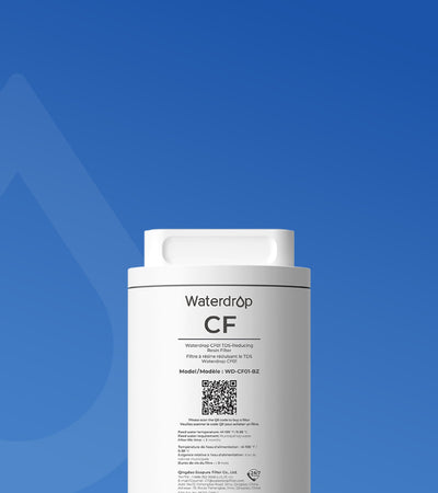 CF01