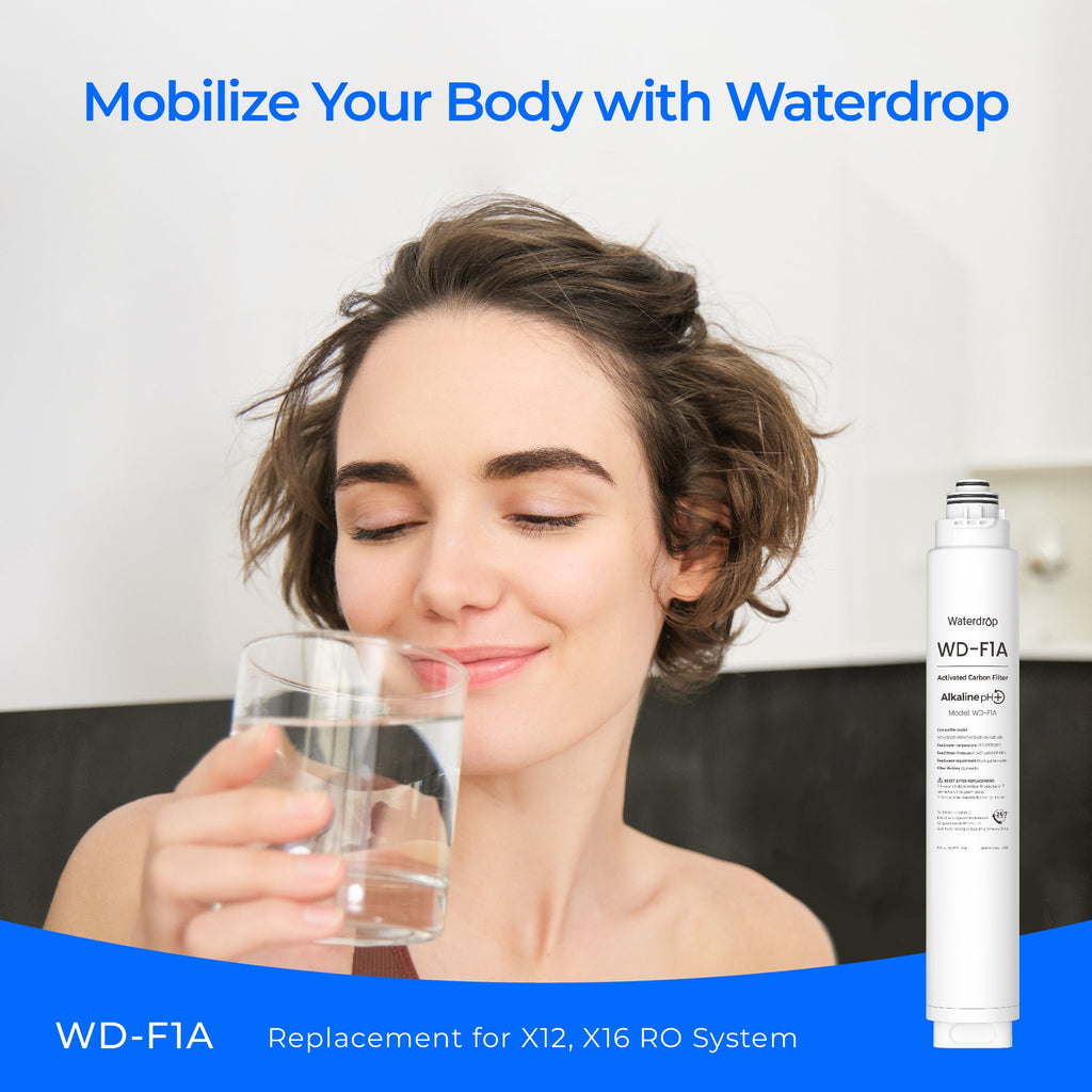 Filtre F1A pour système d'osmose inverse Waterdrop série X