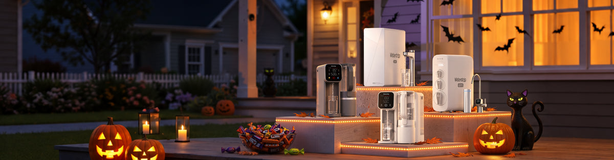 Halloween Promotion  | Oct 26th - Nov 1st