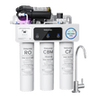 <tc>Filtre à Eau RO avec Reminéralisation Waterdrop T3-M 450G sous l'Évier</tc>
