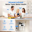 <tc>Filtre à Eau RO avec Reminéralisation Waterdrop T3-M 450G sous l'Évier</tc>